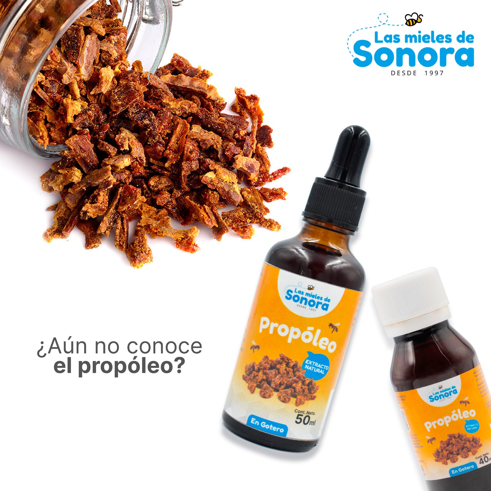 ¿Aún no conoce   el propóleo?