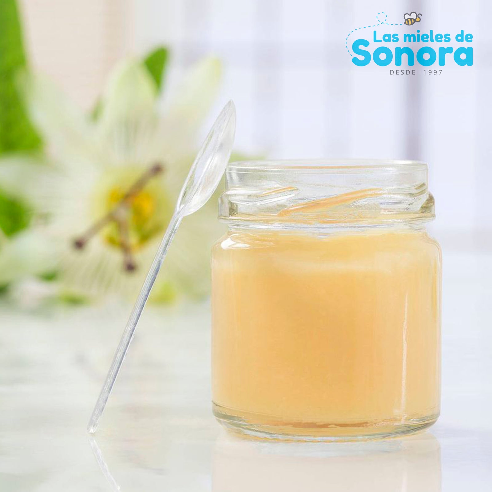 La Jalea Real el elixir de las Abejas