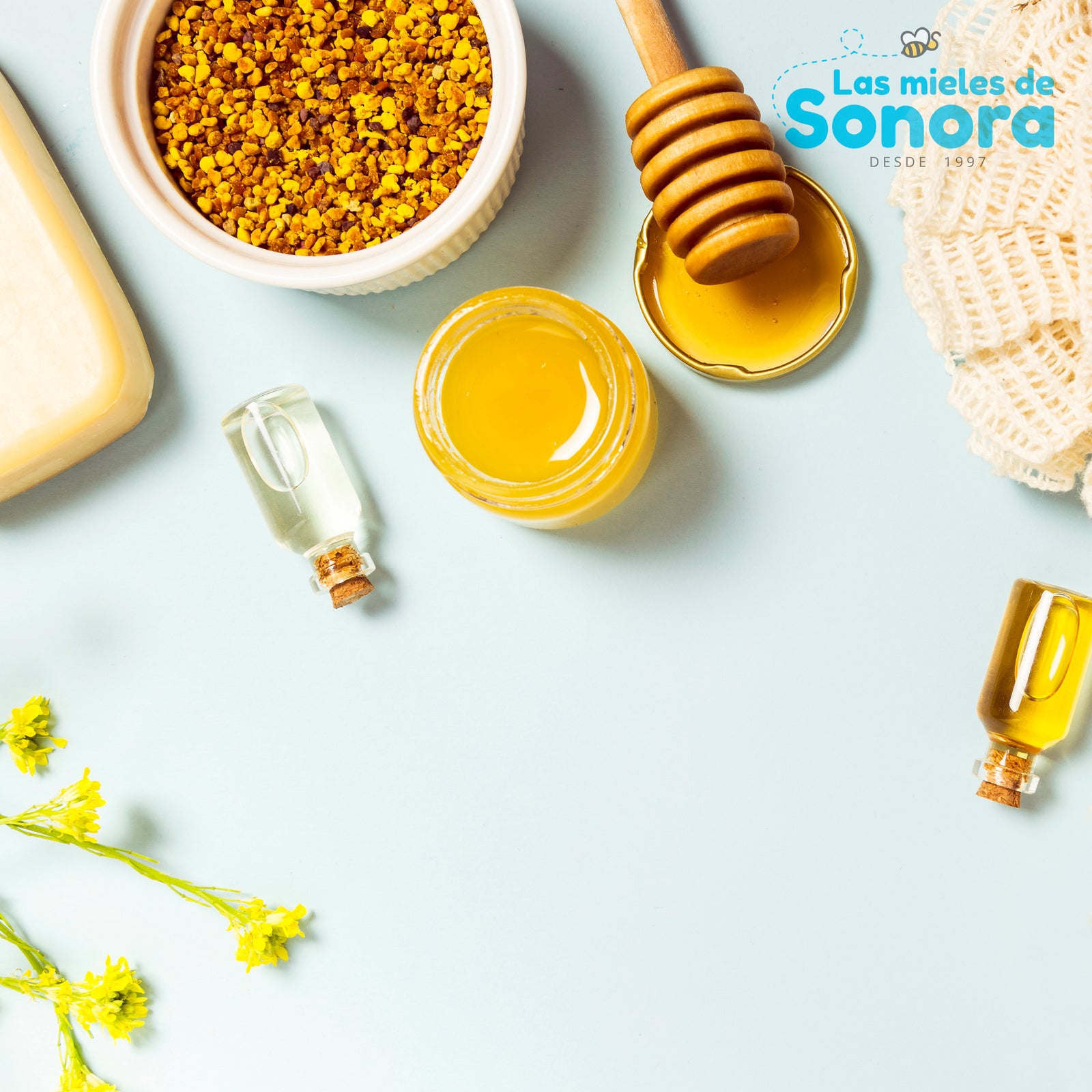 la Cosmética Apícola