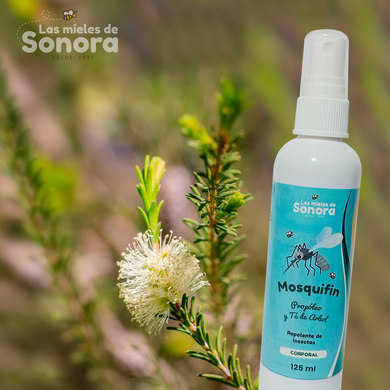 Los Beneficios del Té de Árbol