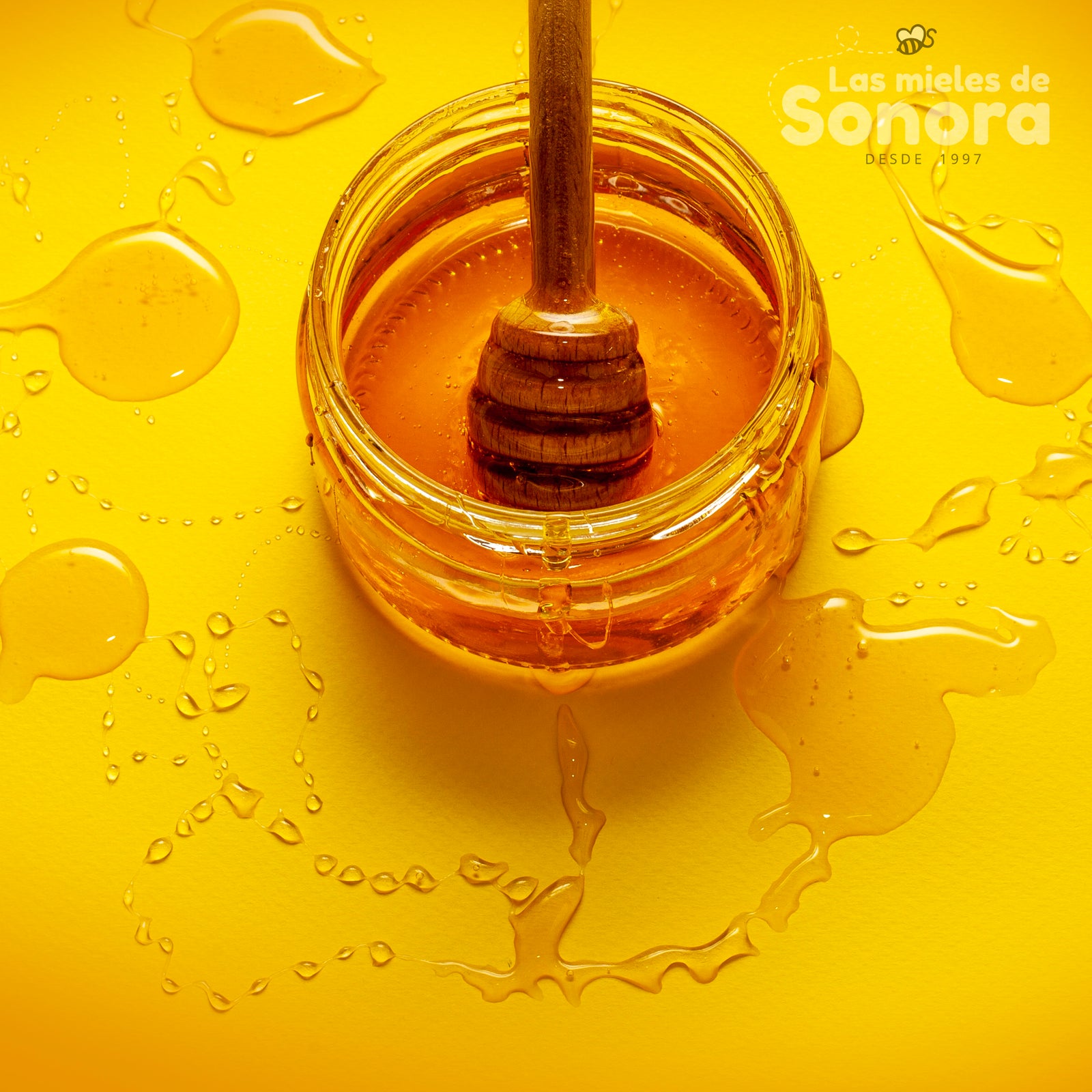¿Por qué es tan saludable consumir miel de abeja?