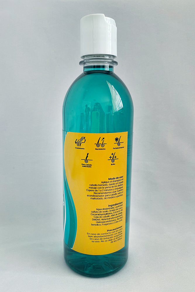 Cola de caballo y miel de abeja 500 mililitros